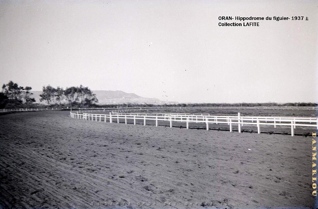 ORAN 1937 HYPPODROME DU FIGIER    (9).jpg